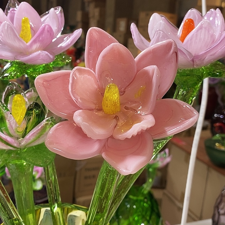 荷花高43厘米宽12厘米