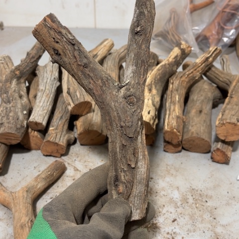 大果紫檀（缅甸花梨）故****儿