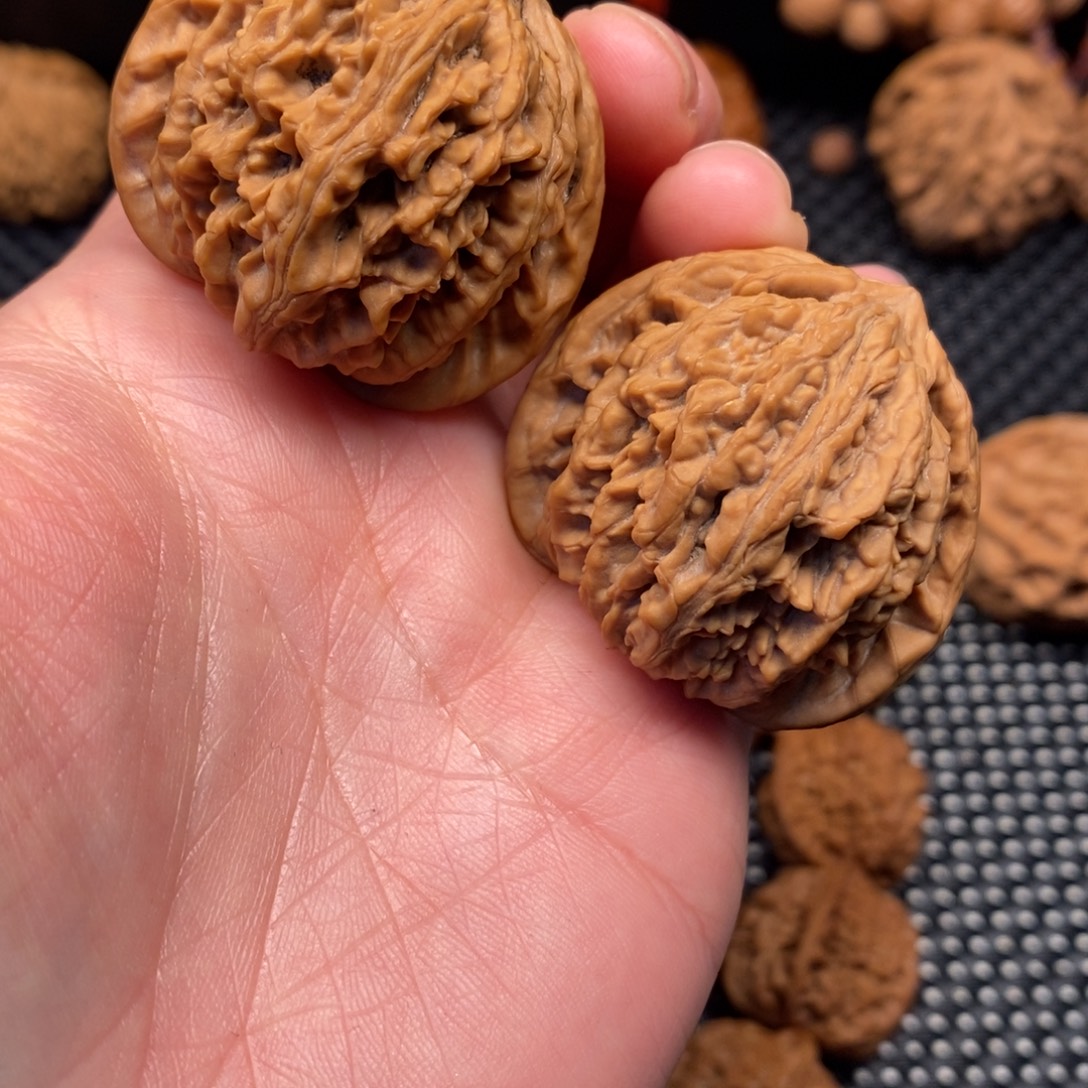 秦岭山地核桃狮子头