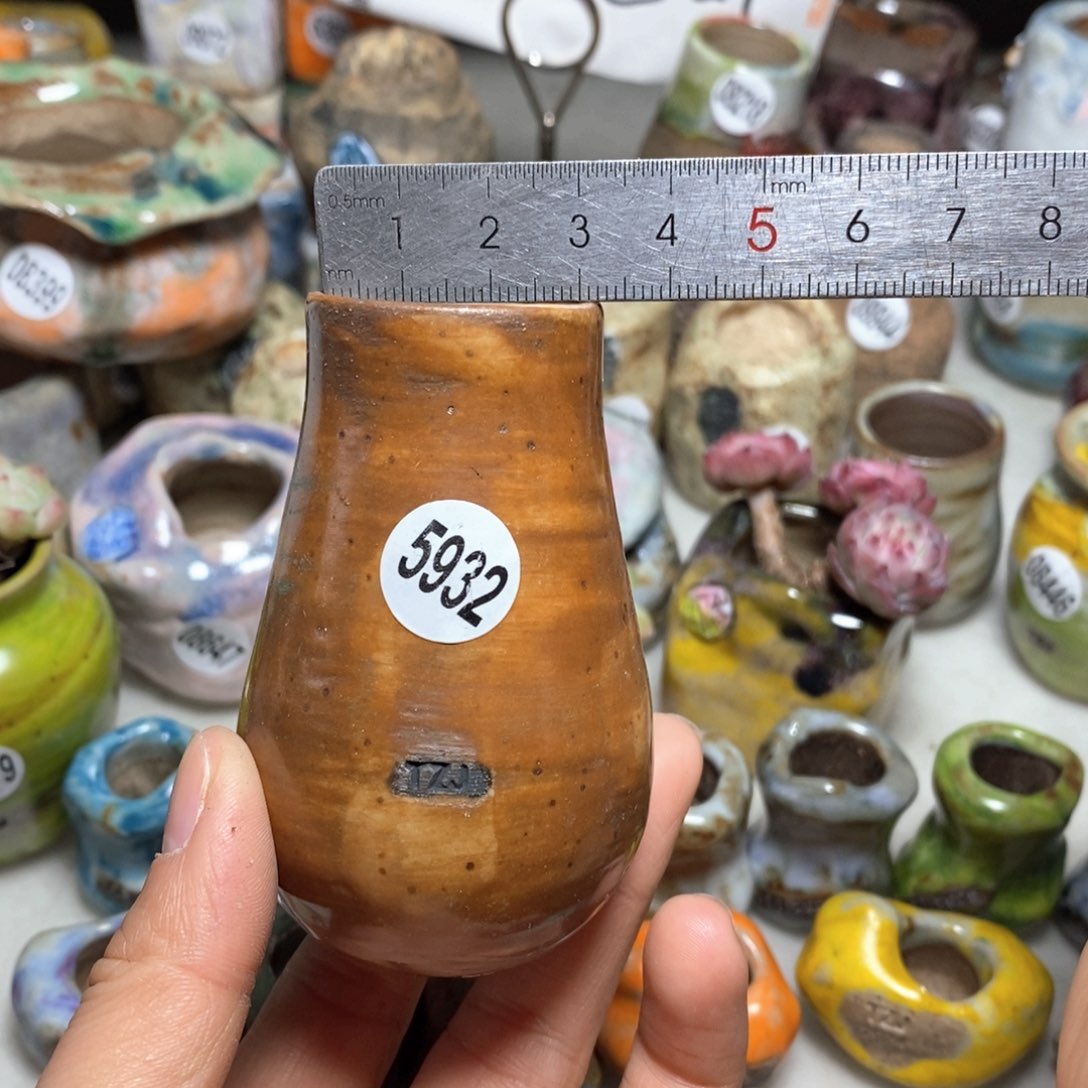 花盆拍5送一个小礼物