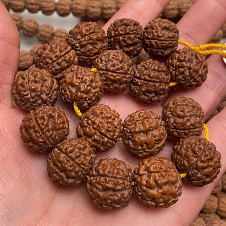 菩提?****q跳跳龙小金刚