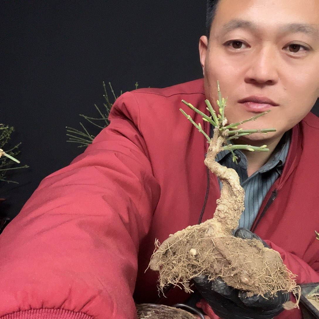 ^***^无花朵谢谢你的关心和支持