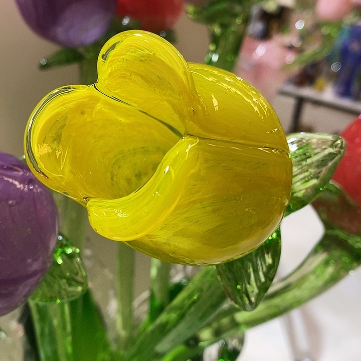 玫瑰花高45厘米宽6厘米