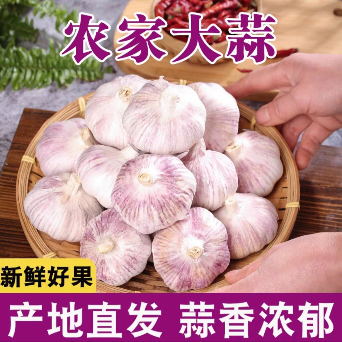 【1精品大蒜】5斤装农家自种新晒干大蒜头紫白皮辛辣多汁高品质