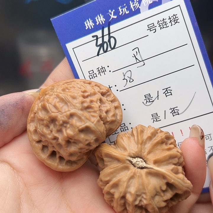 文玩核桃吊坠核桃树366