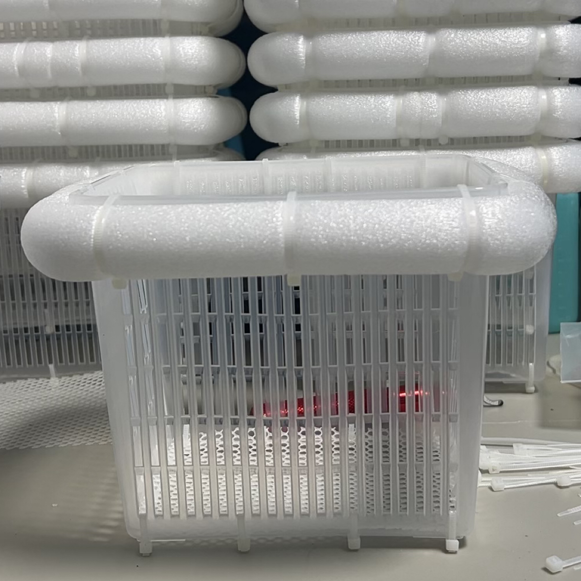 孔雀鱼繁殖隔离筐鱼缸内繁育小鱼苗必备分离网