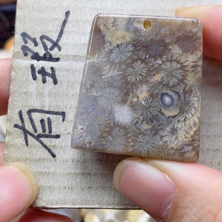 硅化珊瑚（珊瑚玉）颈饰未镶嵌红**墅