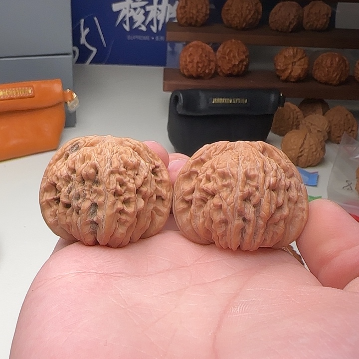 C37一代楼42-39-34