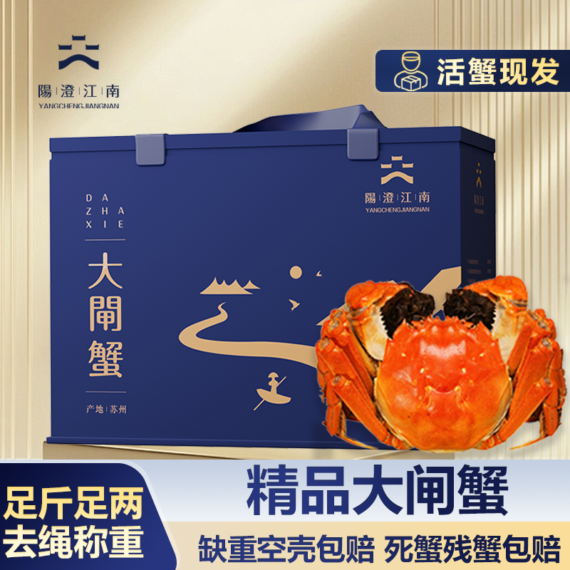 【活蟹】阳澄江南精品大闸蟹全母蟹3.5-3.8两 8只/10只礼盒装Z