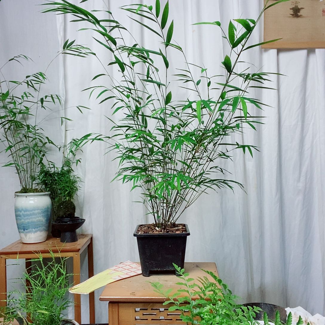 完全开放588888999996