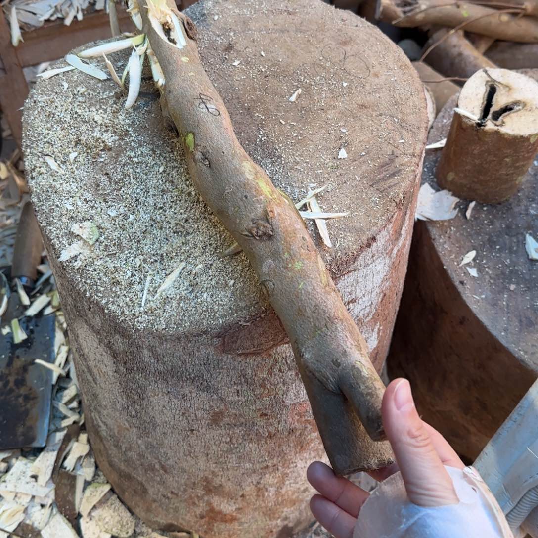 树脂制品清*48号奇楠原木虫漏一个