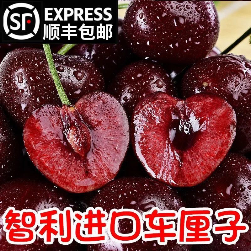 【4JD】顺丰空运次日达 智利空运桑提娜车厘子 脆甜多汁 净重800g内附果径卡桑提娜樱桃智利共和国