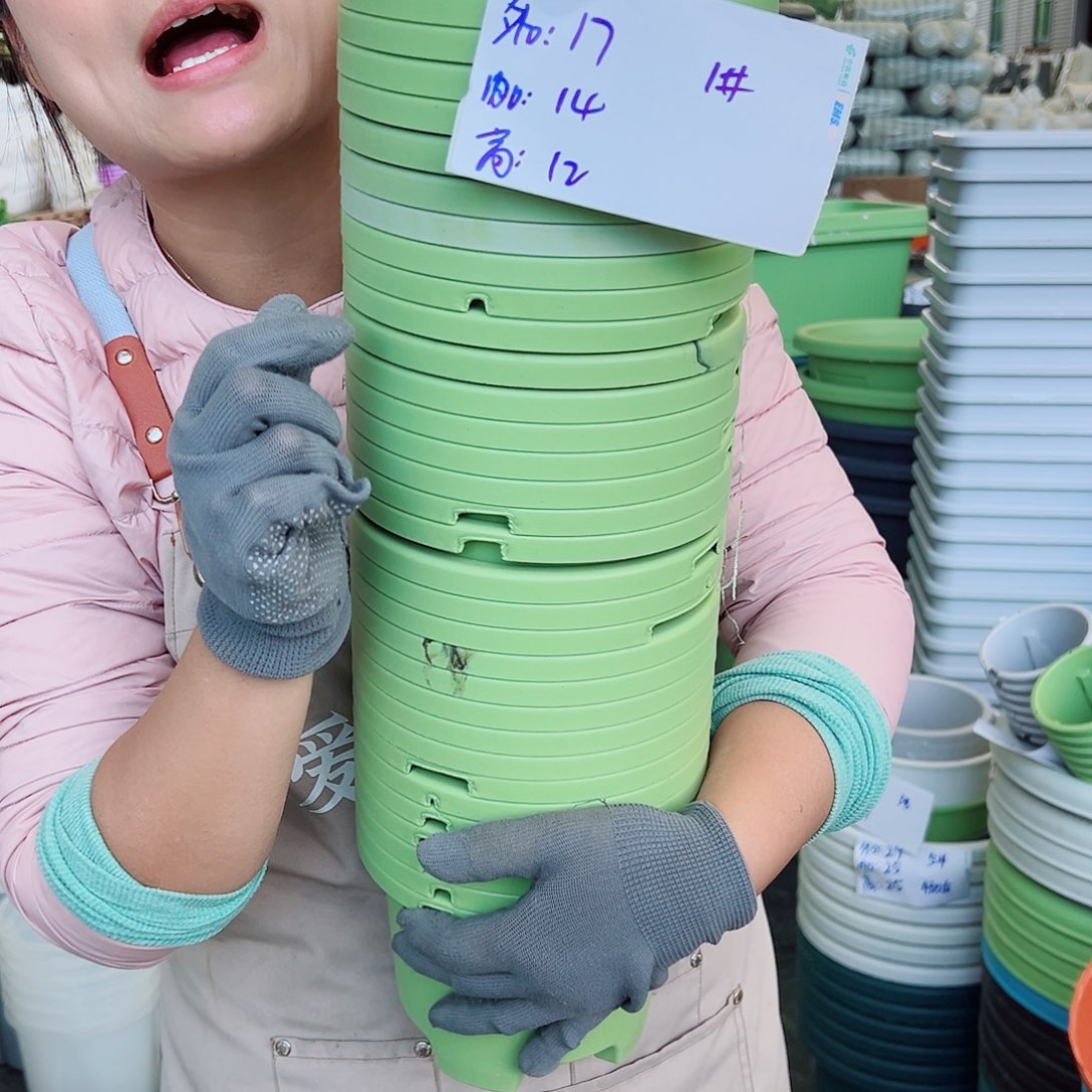 瑕疵球根盆1#果绿色10个无托