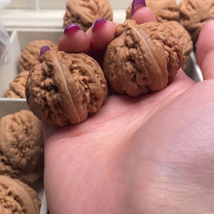 用***9文玩核桃吊坠霸王龙