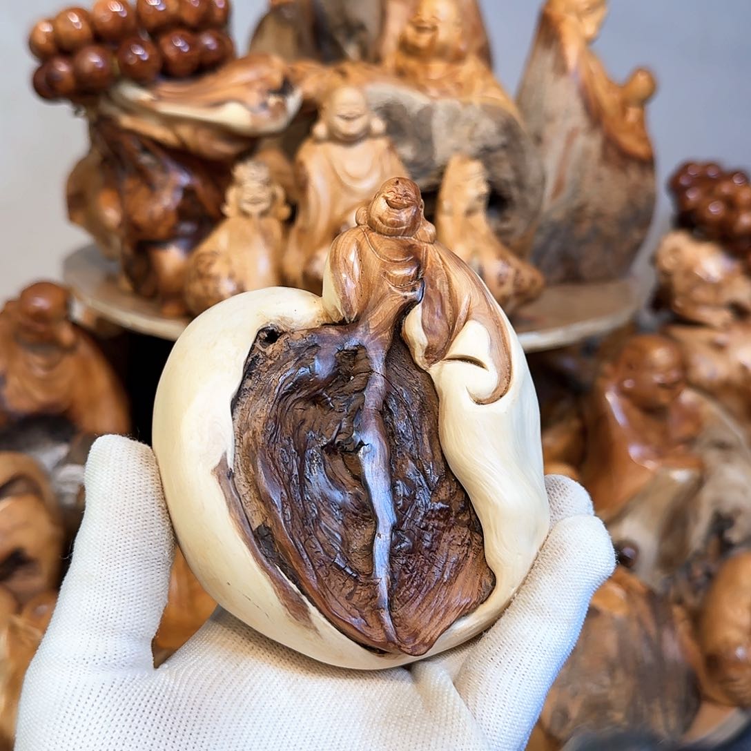 柏木（崖柏）6666666666666