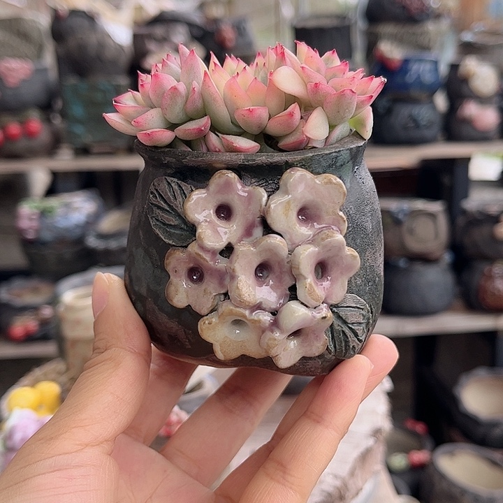 红陶这个人真的可以