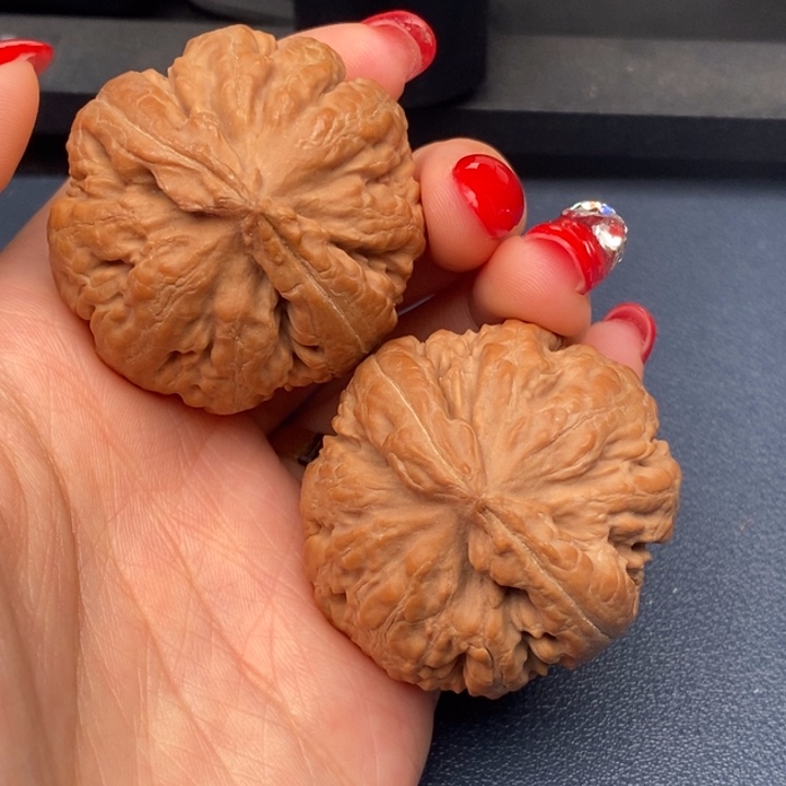 勿***！霸王龙全品无刀休