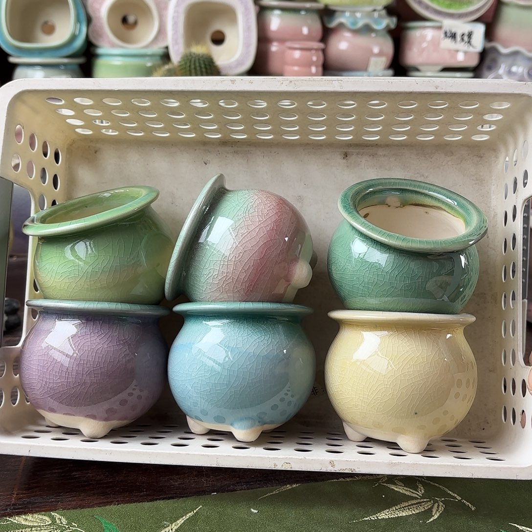 量货/5口高6深浅搭配发6