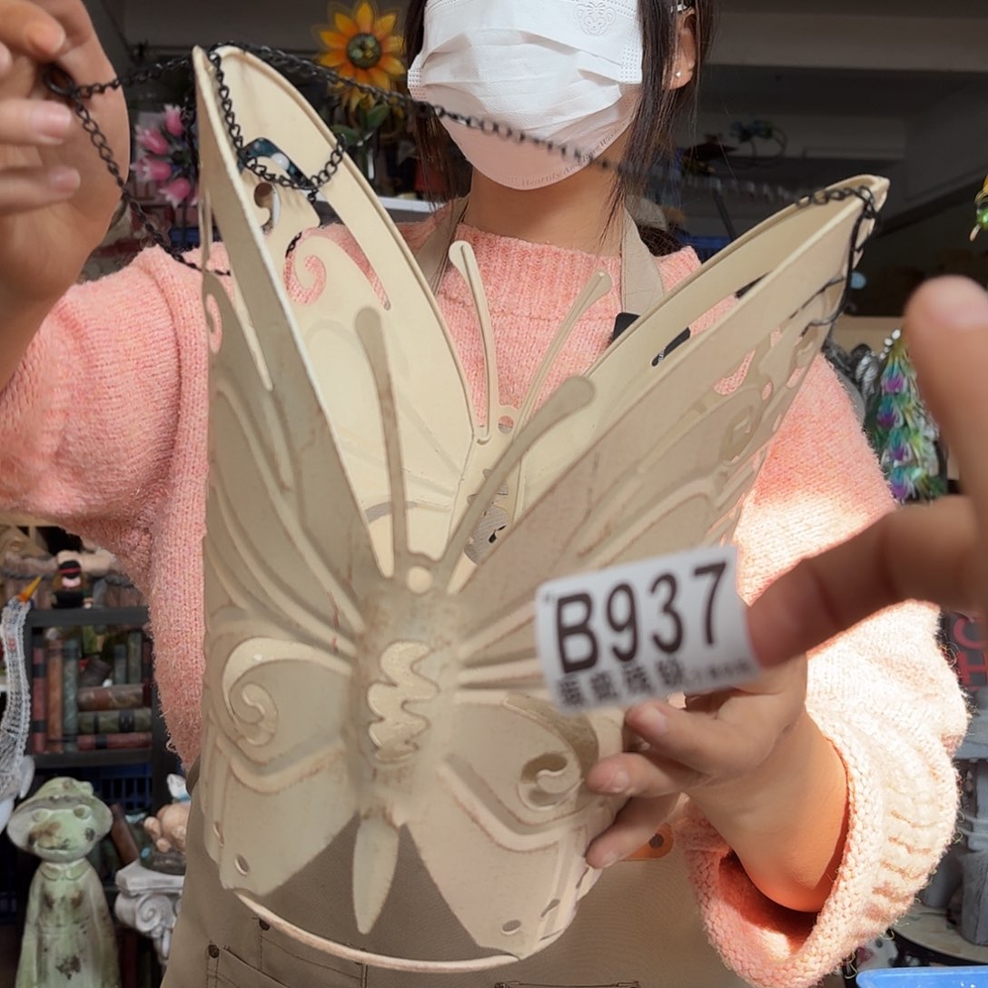 核桃木/黑胡桃（胡桃木）