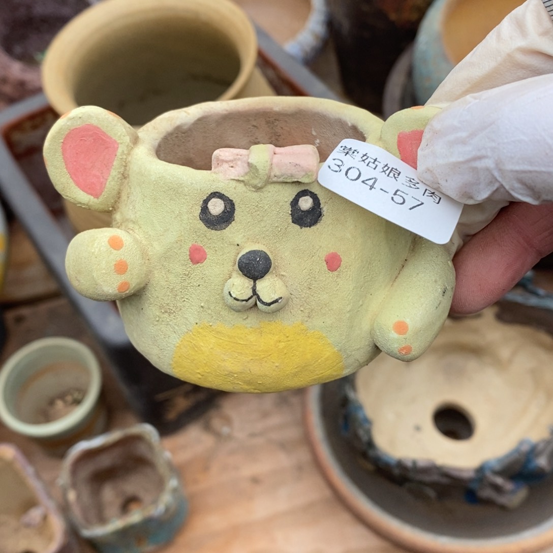 红陶57号小可爱瑕疵