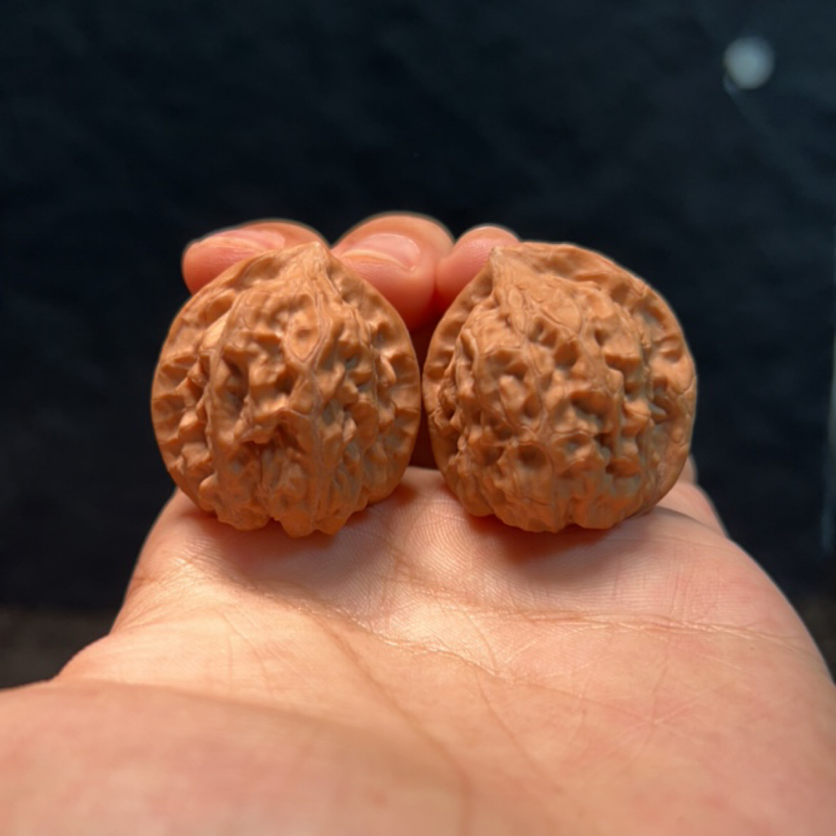 文玩核桃 原生树赤兔 4717 号 34 尺寸