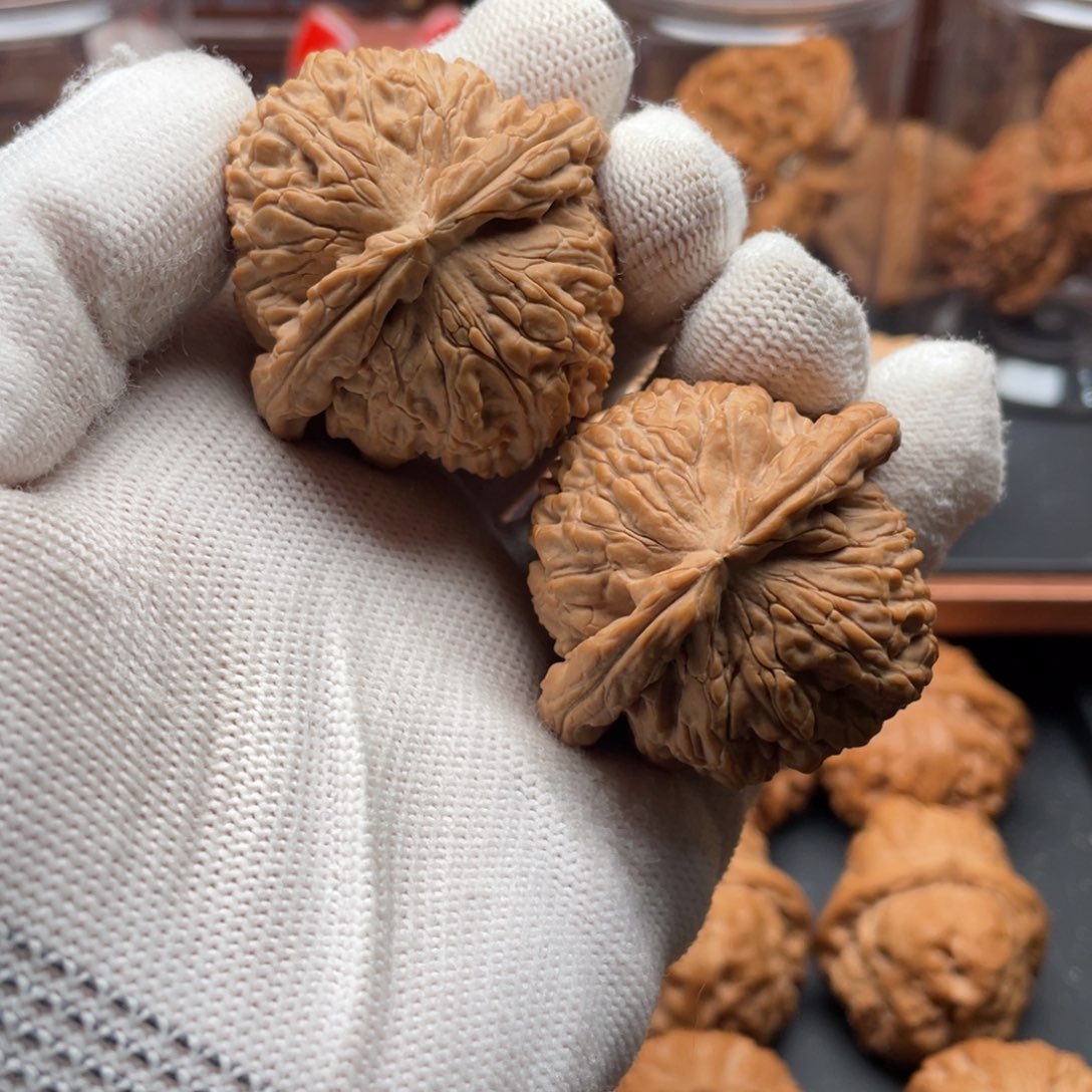 文玩核桃把件42白狮子