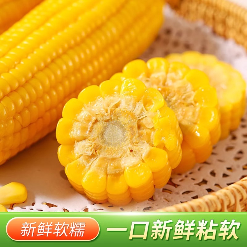 【可试吃两根】东北黄糯玉米当代餐糯玉米真空包装黏玉米整箱14根