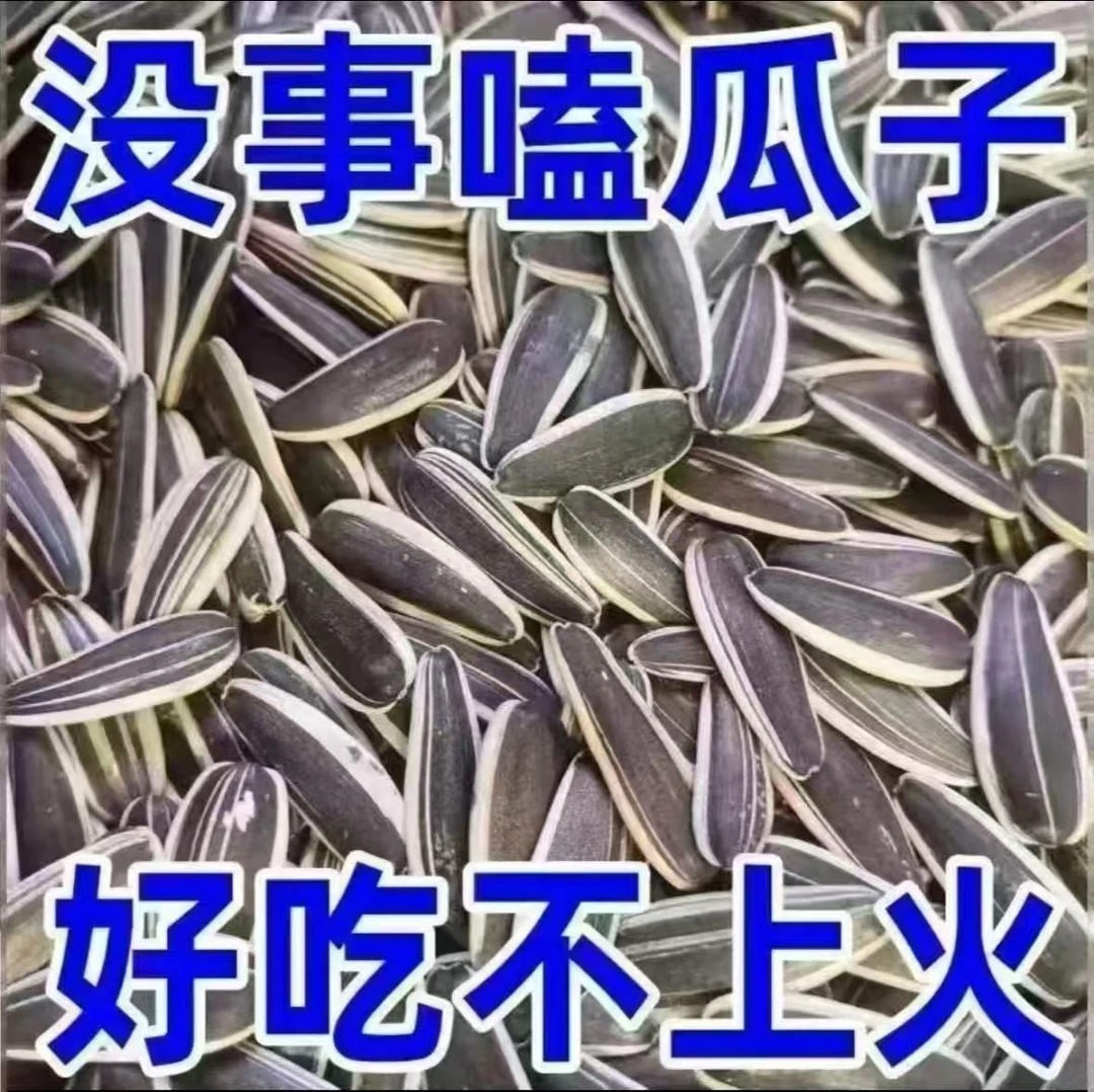 熟瓜子原产地原味熟瓜子中大颗粒皮薄易嗑炒货零食