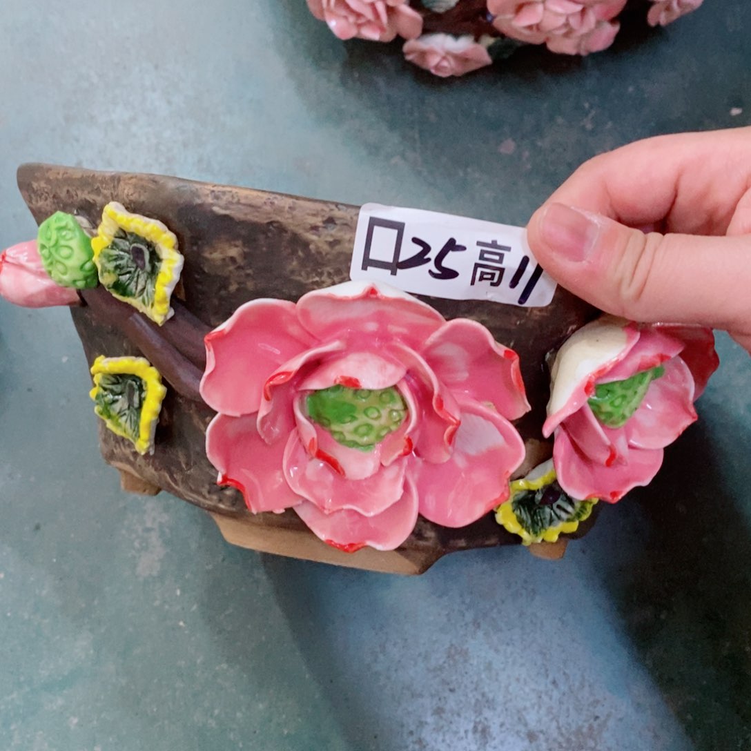 红陶福利福利活动多多