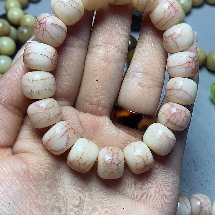 大果紫檀（缅甸花梨）