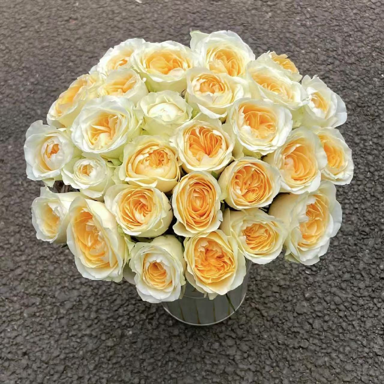 10枝奶油杯单头玫瑰  (两单发顺丰或京东快递)