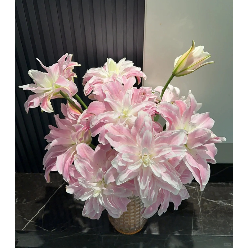 【莲花雅致】重瓣百合 一单包邮 云南鲜花昆明基地现采现发