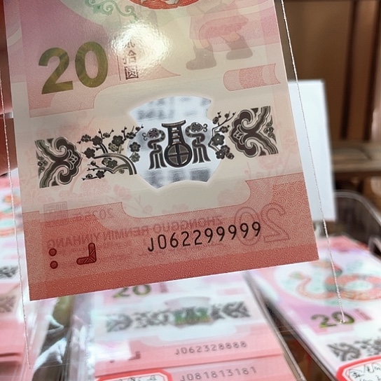 塑料小蛇钞062299999 龙珠老虎号