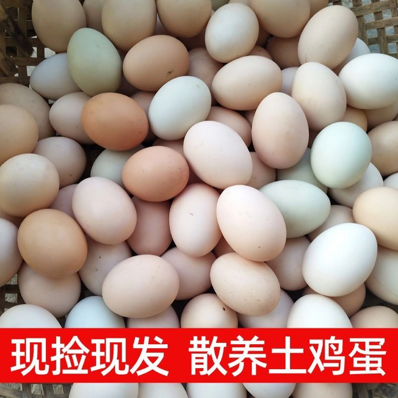 助农新鲜正宗农家散养土鸡蛋现捡