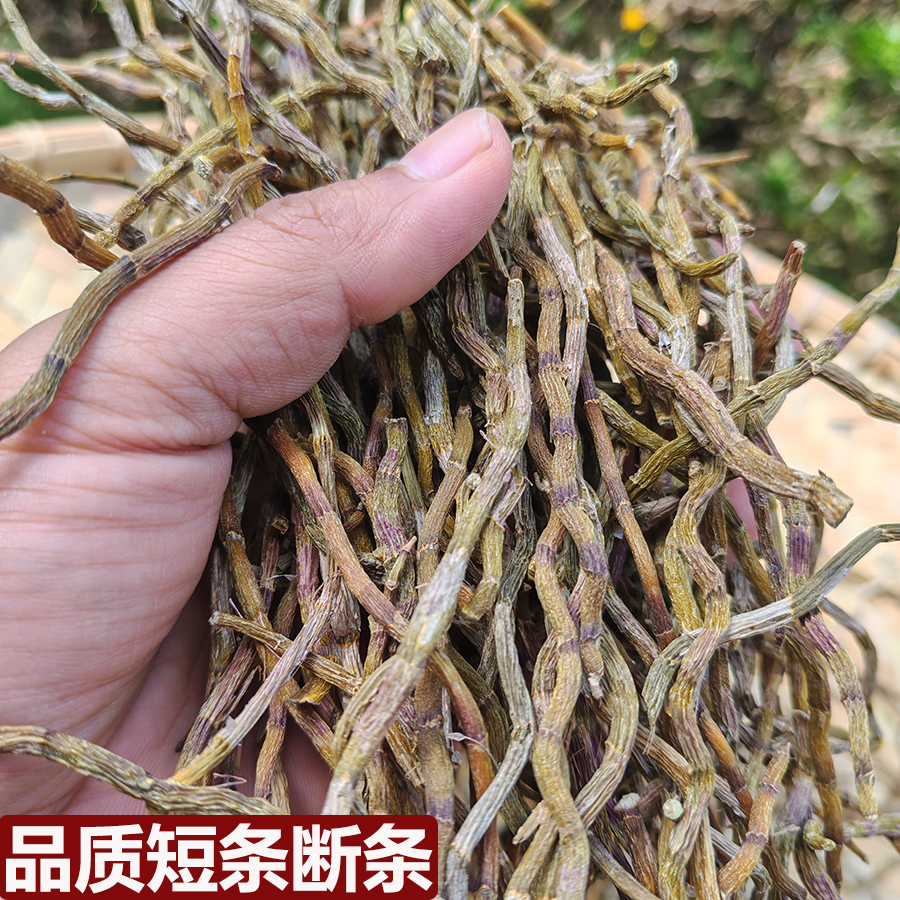 双十二好物高品质铁皮石斛短条断条石斛干条磨粉胶质粘牙石斛鲜条