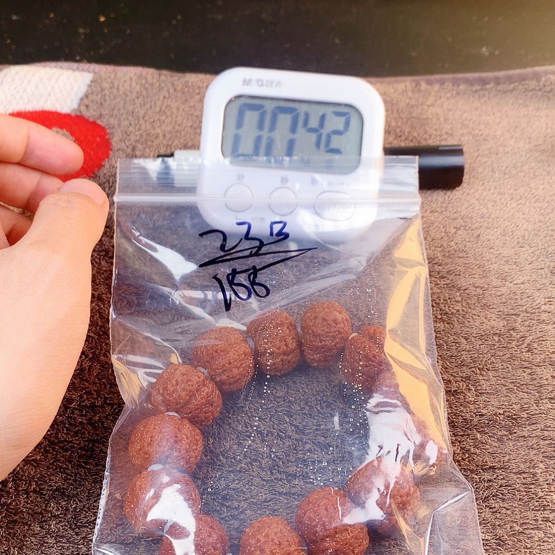 -***森金刚菩提吊坠23—————