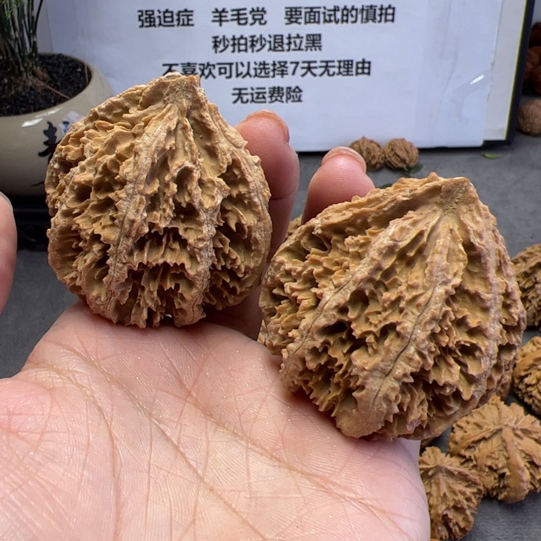 文玩核桃把件秦岭植物核桃