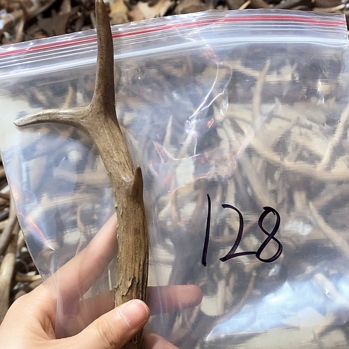 鹿角鹿角鹿角鹿角