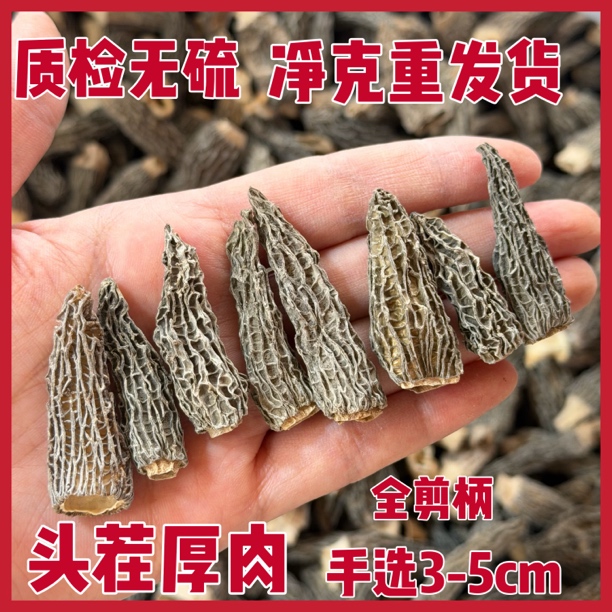 1号3-5cm云南腾冲高原火山灰羊肚菌六妹头茬无硫干货煲汤鲜美