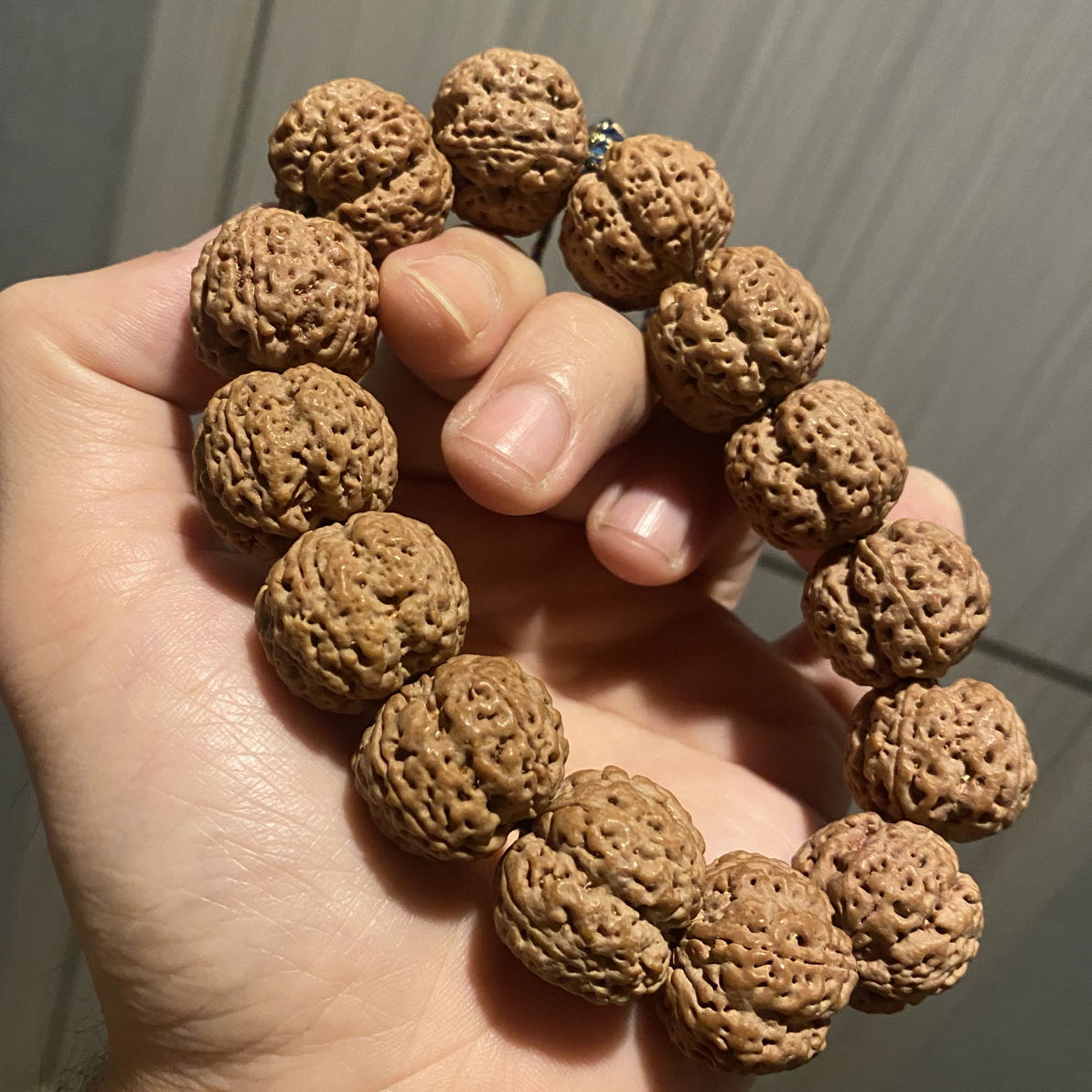 龙牙梅花（毕业级爆肉金刚菩）