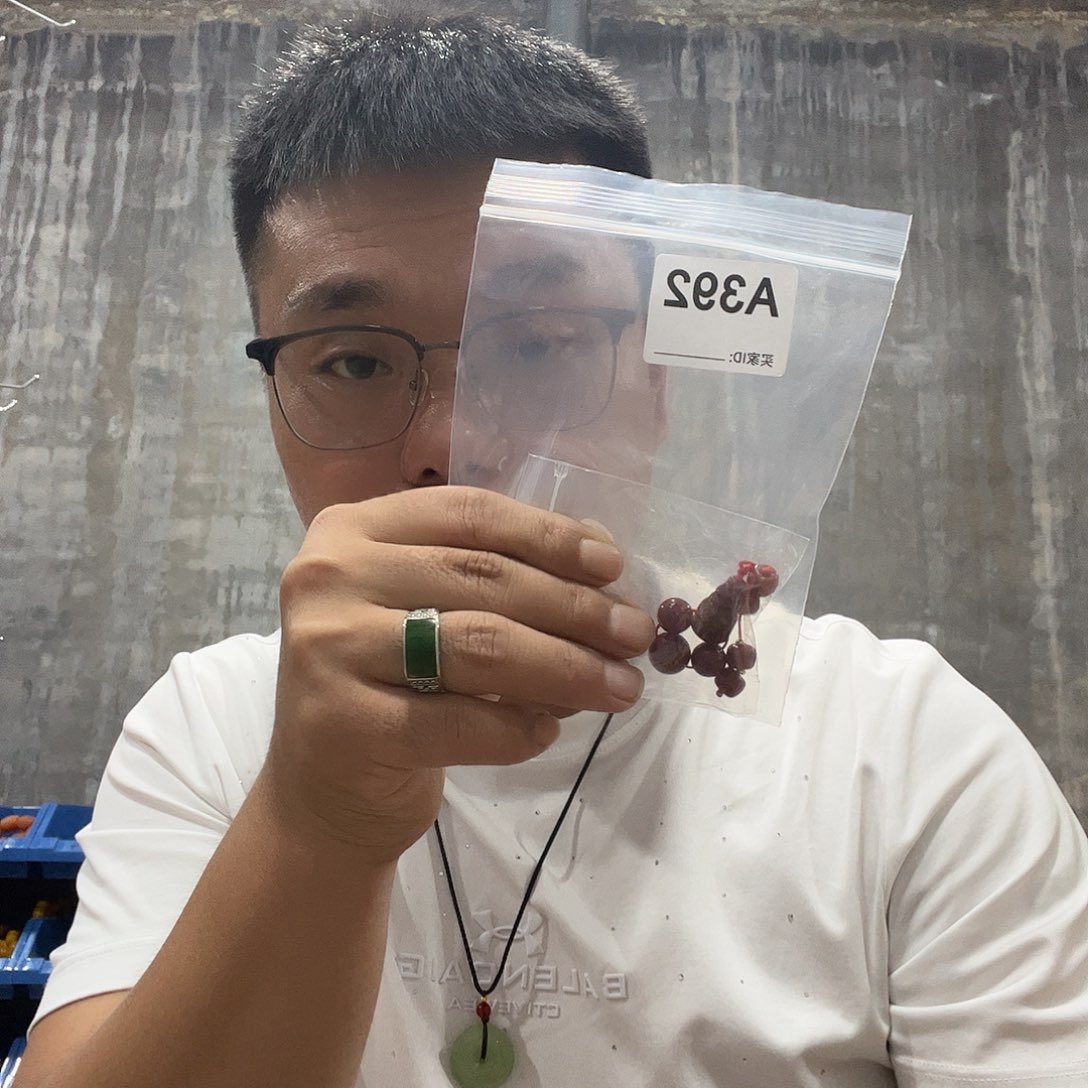 大果紫檀（缅甸花梨）392