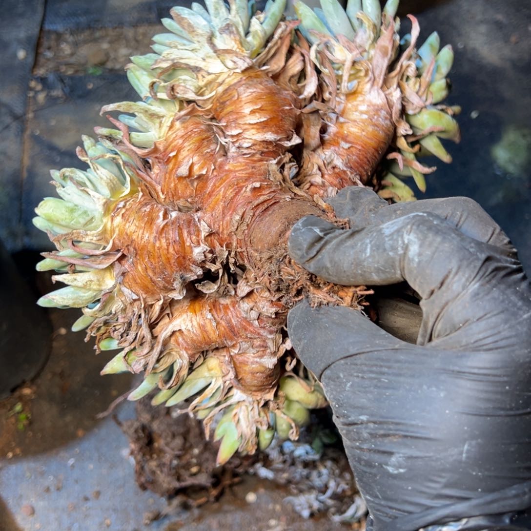 5096哈哈哈哈哈哈哈哈