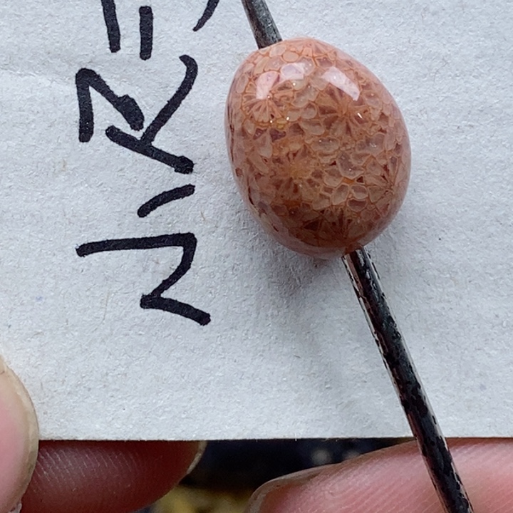 颈饰未镶嵌硅化珊瑚（珊瑚玉）