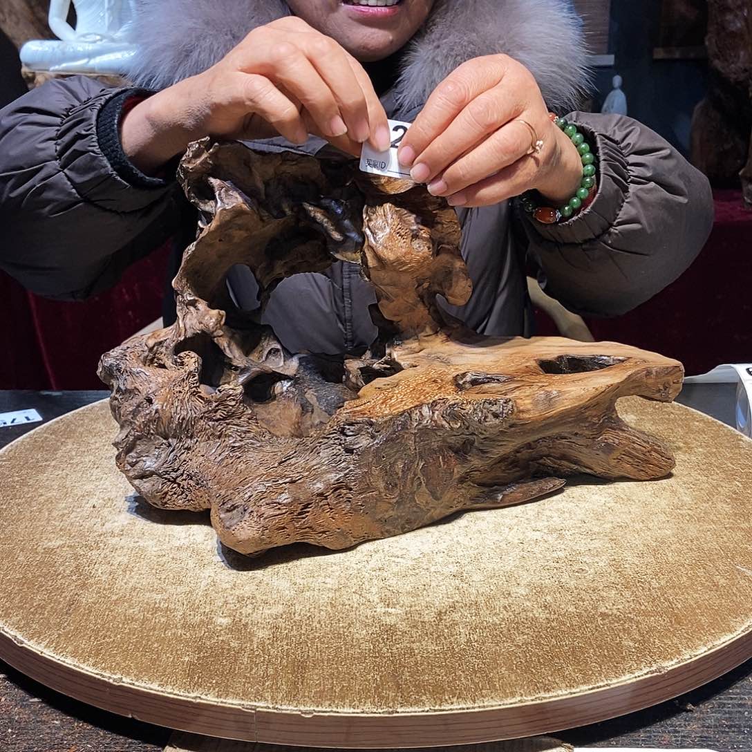 月***塘226。株木随行根艺