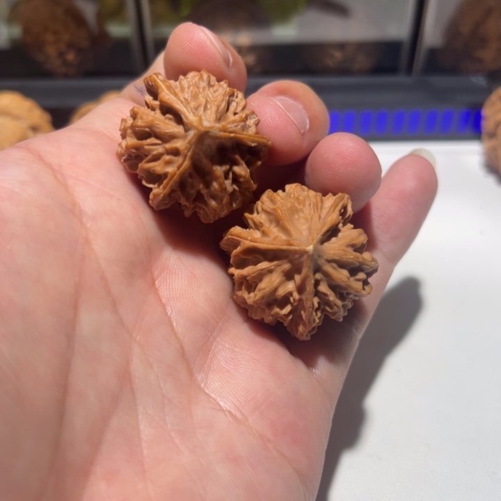 三棱柱上一片小树林深处