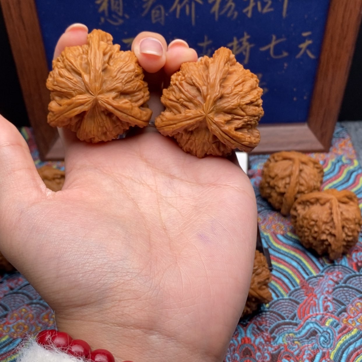 【闪购商品】小*白狮