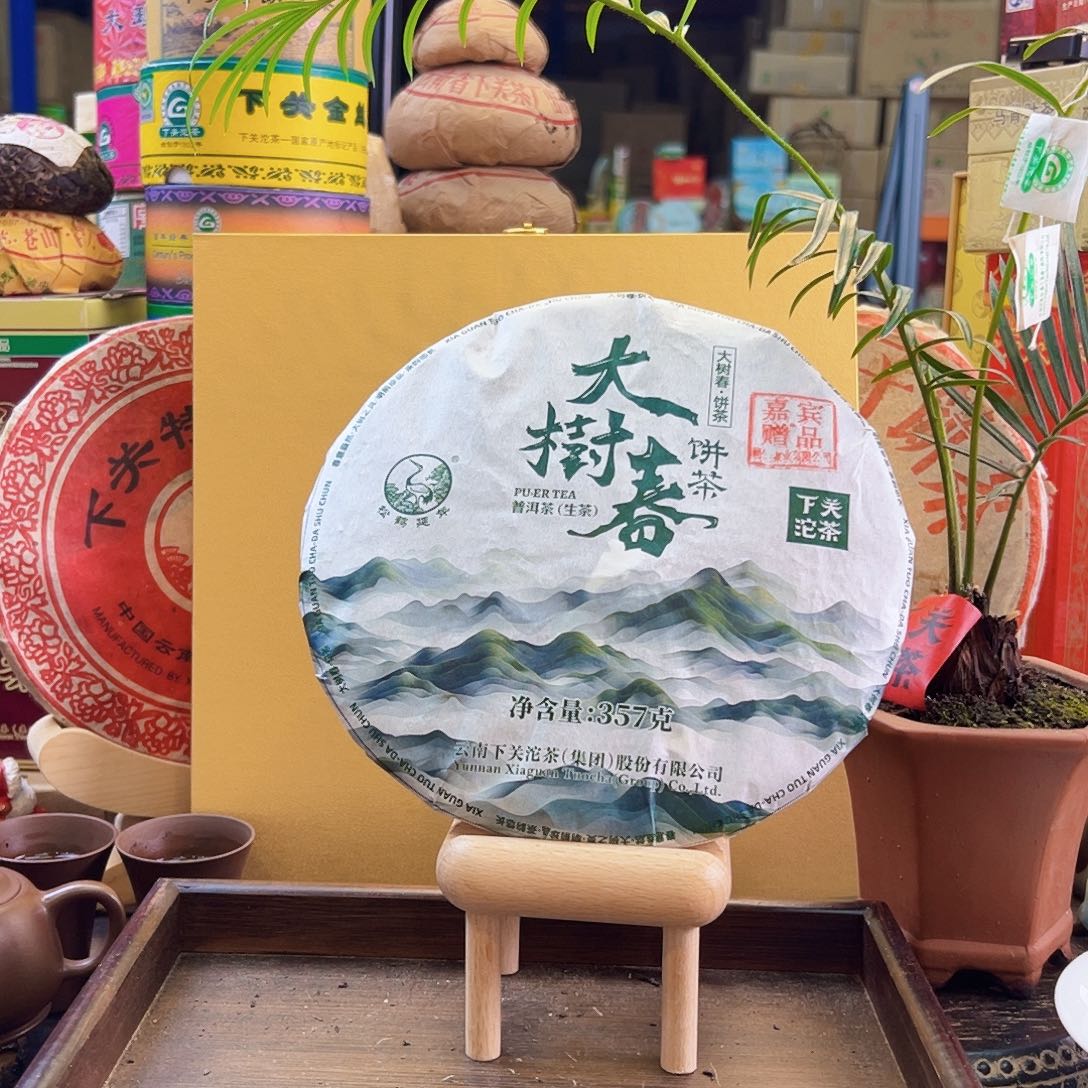 2024年下关大树春357克生茶