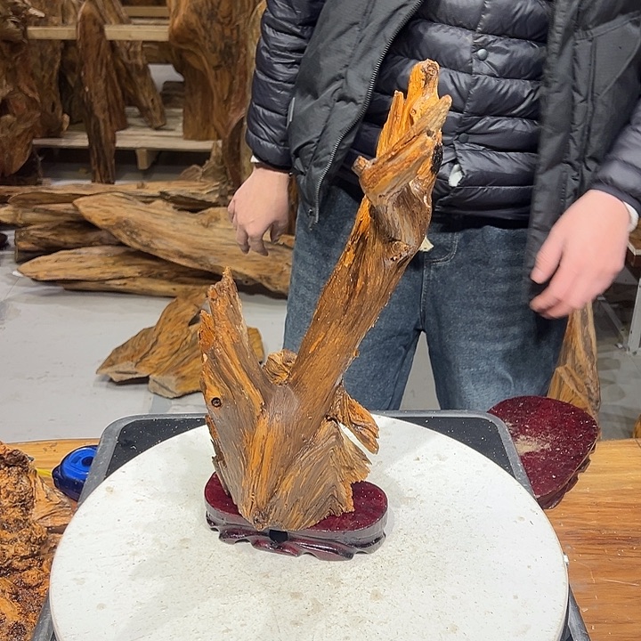 松木（琥珀木）午**鹉