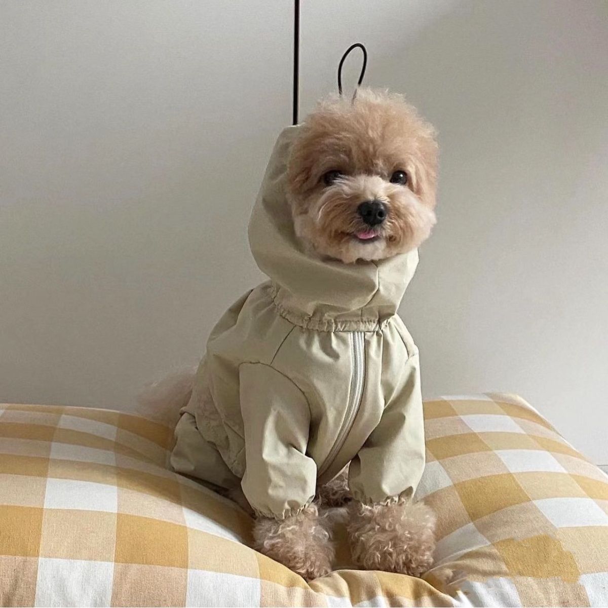 狗狗衣服小型犬秋冬款宠物外出厚款冲锋衣泰迪比熊雪纳瑞衣服