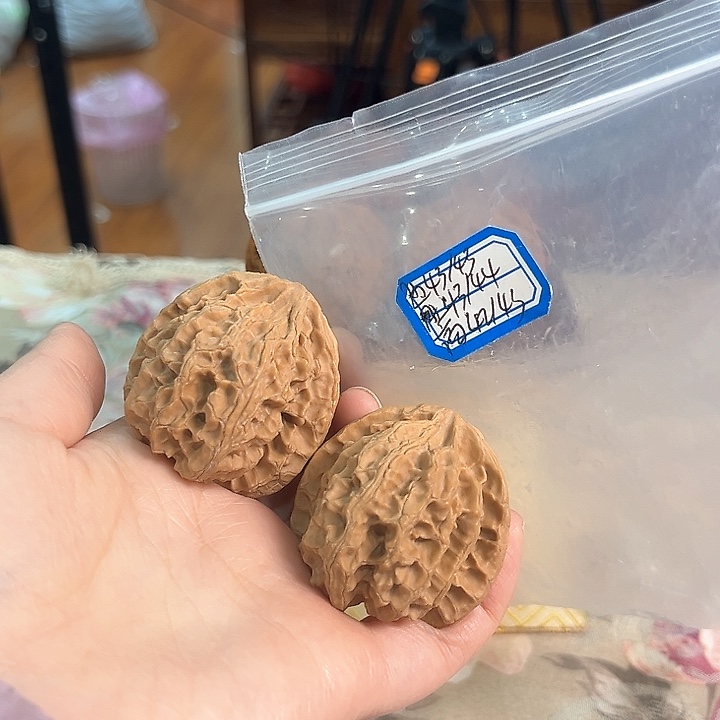 文玩核桃把件苹果园